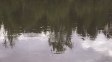 Nehir akar, yavaş yavaş, onun pürüzsüz sakin yüzey yansıyan orman ve gökyüzü.