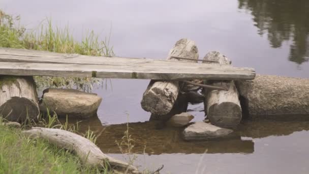 Homemade wooden bridge from logs and stones built in calm river. — Stock Video