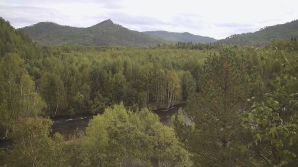 Verão floresta densa, rio selvagem e montanhas baixas formam bela paisagem . — Vídeo de Stock