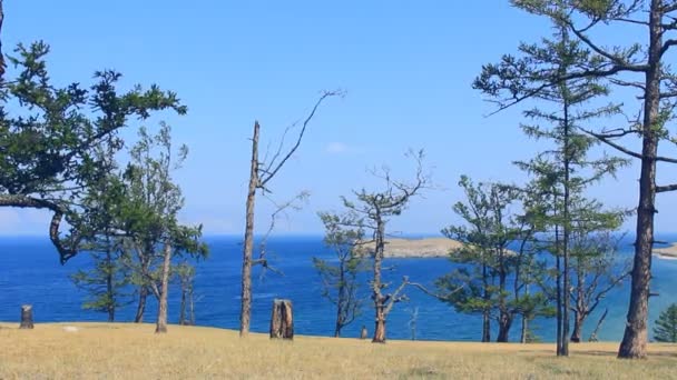 Há paisagem bonita de linha de costa de lago . — Vídeo de Stock