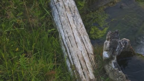 Vue rapprochée du petit pont en bois traversant le ruisseau . — Video