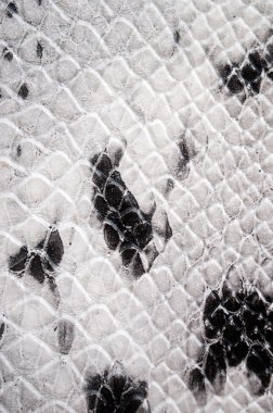 Arka plan doku imitasyon python cilt