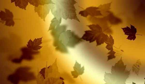 Achtergrond van de vallende bladeren — Stockfoto
