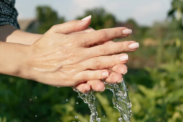 stock image female hands in water on the background of nature