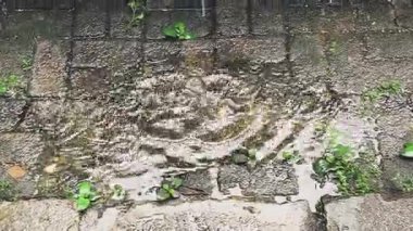 Ağır yağmur damlaları üzerinde dans eden dairesel dalgalar, sakin bir bahçe bahçesindeki yosunlu taştan bir su birikintisine sıçrıyor..