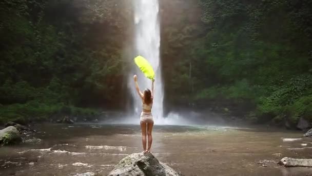 Ragazza davanti a una cascata con una foglia — Video Stock