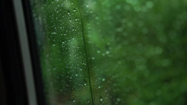 Капли дождя на окно в машине. Сосредоточься на дождевых каплях, стекающих по окну . — стоковое видео