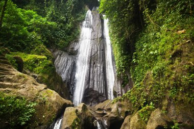 Tropik şelale manzarası