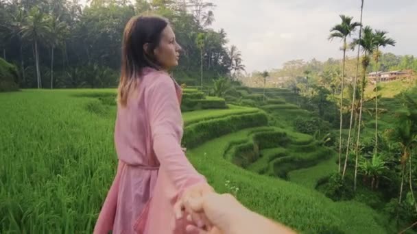 Wanita muda berpegangan tangan dan berjalan di tengah sawah mengenakan kimono merah muda — Stok Video