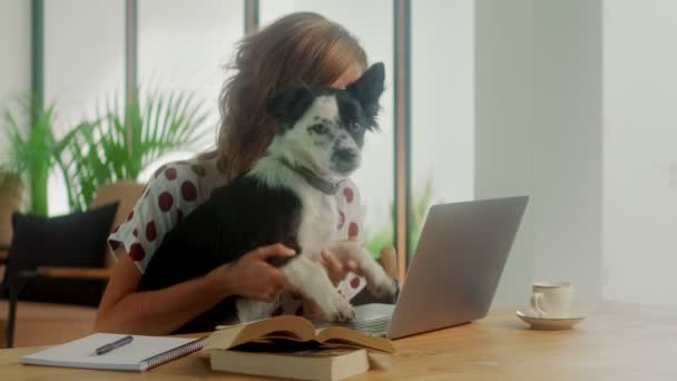 Mulher feliz digitando no laptop junto com seu cão alegre se divertir — Vídeo de Stock