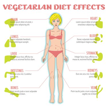İnsan vücudu ve iç organları vejetaryen, vegan veya çiğ gıda diyet nasıl etkiler