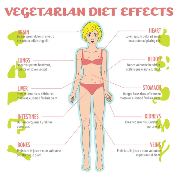 Jak vegetariánské, veganské nebo syrové potraviny strava ovlivňuje lidské tělo a vnitřní orgány — Stockový vektor