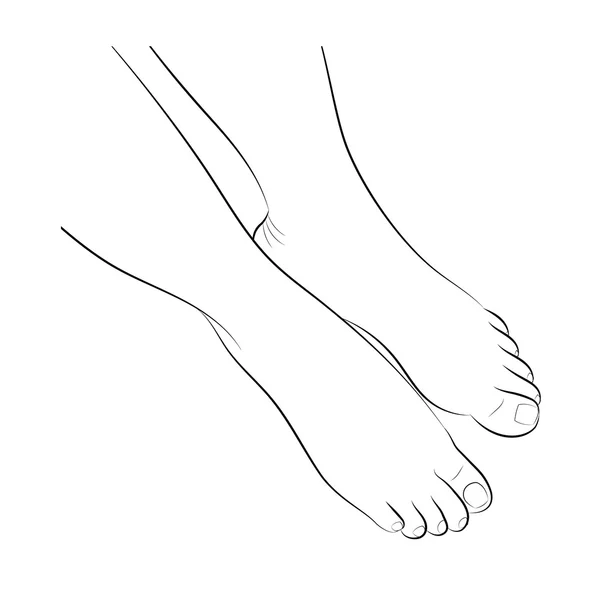 Pieds féminins nus avec pédicure neutre . — Image vectorielle