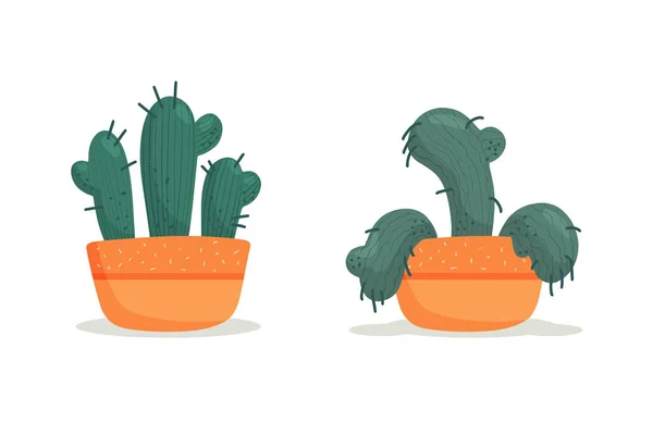 Stadier Vissnande Vissnad Kaktus Vas Övergiven Växt Utan Vattning Och — Stock vektor