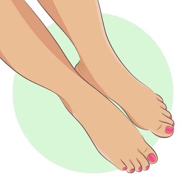 Bare Female Feet Pedicure Pink Toenails Front View Close Foot — Stock Vector