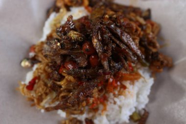Asya yemekleri, nasi kucing