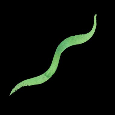 Suluboya öğe ve parça