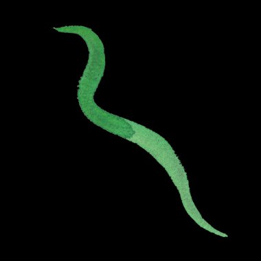 Suluboya öğe ve parça