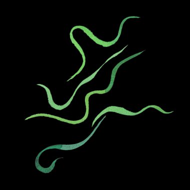 Suluboya öğe ve parça