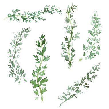 Yemek pişirmek için suluboya baharat