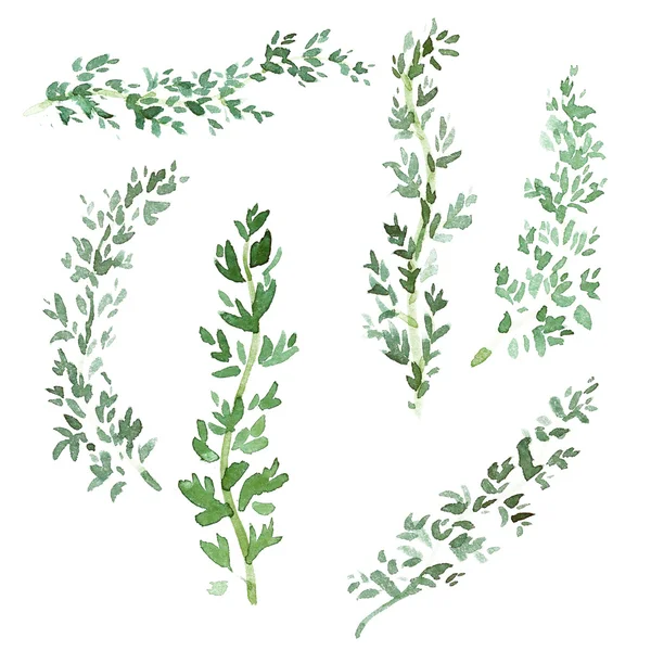 Yemek pişirmek için suluboya baharat