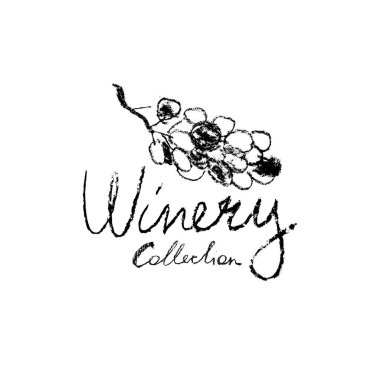 Kalem desenli bir asma resim. Şarap temalı illüstrasyon. Şarap dükkanı ikonu. Tebeşir deseni. Amblem üzüm bağı, biyodinamik şaraplar, üzüm festivali, şarap barı tabelası için üzüm asma çizimi.