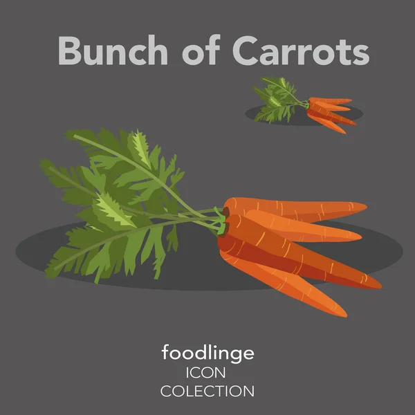 Frische Bunte Gemüse Ikone Von Illustrierten Bündel Karotten Foodlinge Sind lizenzfreie Stockillustrationen
