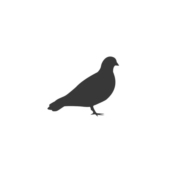 Icône de silhouette vectorielle de pigeon sur blanc à plat — Image vectorielle