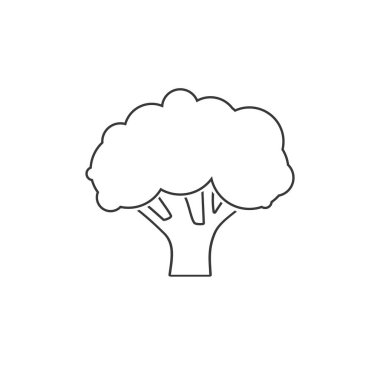 Brokoli çizgisi simgesi vektörü, düz işaret, beyaz üzerine izole edilmiş katı pictogram, logo