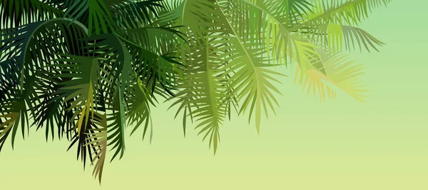 Grüner Hintergrund Mit Cartoon Palmblättern Die Von Der Sonne Beleuchtet — Stockvektor