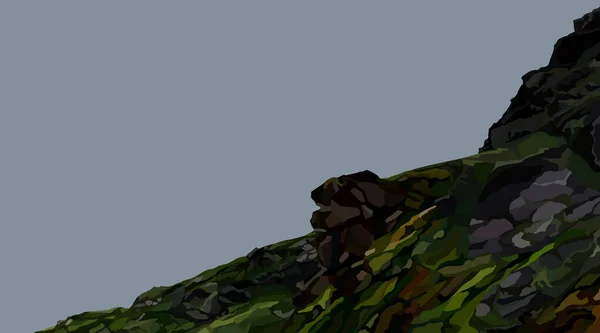 Раскрашенный Сером Фоне Скалистый Зеленый Склон Камнями Красочным Мхом — стоковый вектор