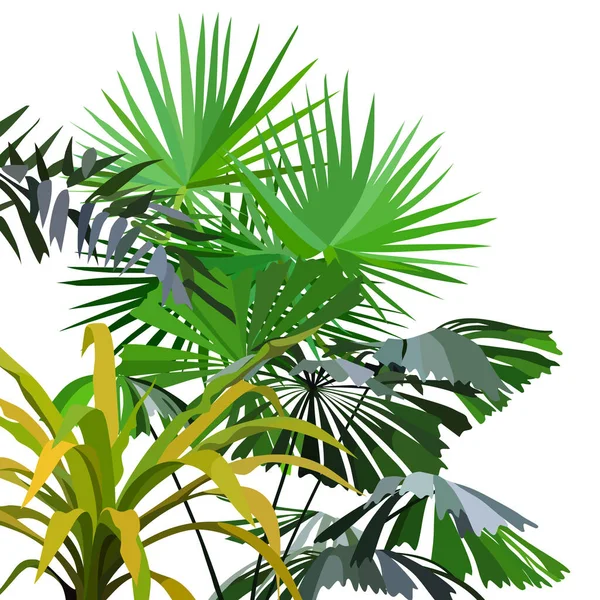 Cartoon Dicht Wachsende Tropische Pflanzen Mit Palmblättern Isoliert Auf Weißem — Stockvektor
