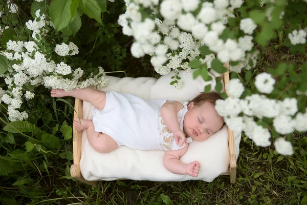 Imagem horizontal do bebê recém-nascido fora na grama no jardim florescente . — Fotografia de Stock