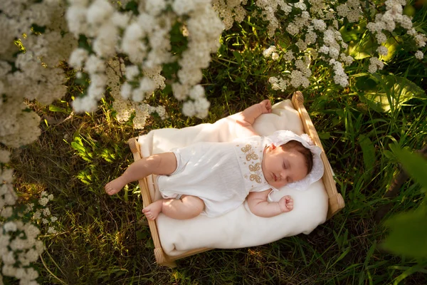 Den nyfødte baby ligger på en seng i den blomstrende have - Stock-foto