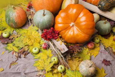 kabak ve elma ile sonbahar arka plan