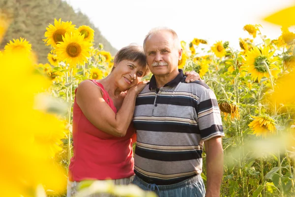 Sonriendo feliz pareja de ancianos en el amor al aire libre — Foto de Stock