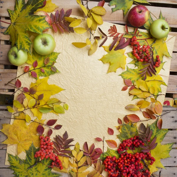 Fondo de otoño con hojas de manzanas y una ceniza de montaña —  Fotos de Stock