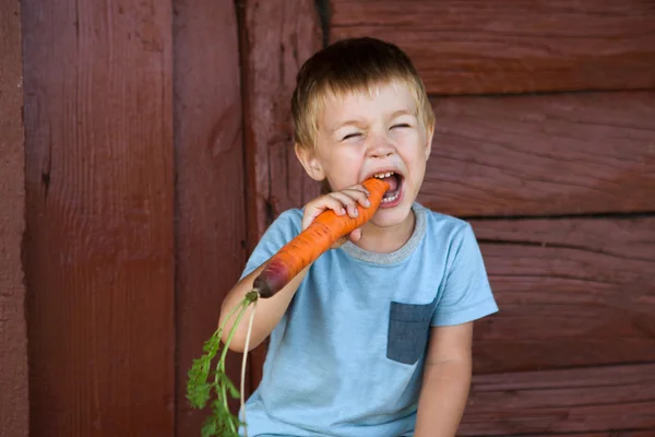 Feliz niño sosteniendo una zanahoria. Concepto de comida saludable . —  Fotos de Stock