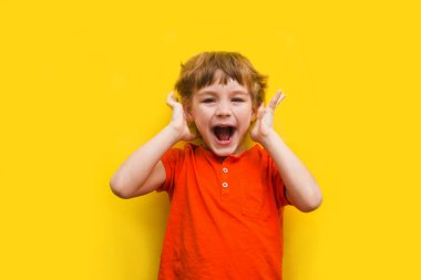 Sarı arka planda küçük şirin bir çocuğun portresi..