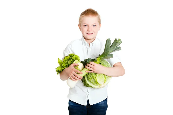 Niño Pequeño Con Camisa Blanca Sosteniendo Coles Frescas Posando Aislado —  Fotos de Stock