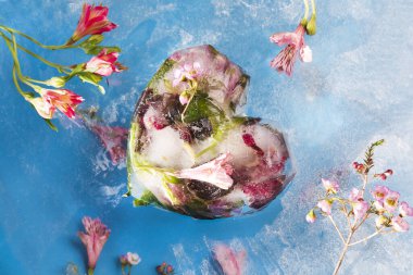 Kalp şeklinde buz küpleri, üzerinde çiçekler olan mavi donmuş arka planda çiçekler. Düz yat. bahar konsepti. Ruh halini canlandıran renk. Baharın Düşü
