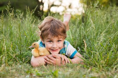 Ördek yavrularıyla gülümseyen küçük çocuk yazın çimlerin üzerinde yatıyor. Yavaş yaşam. Pastoral hayat. Küçük şeylerden zevk al.. 
