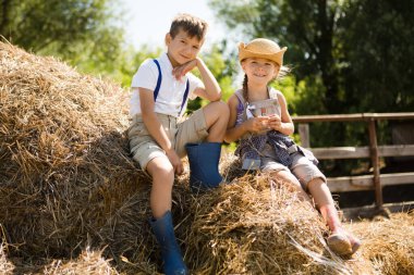 İki küçük çocuk erkek kardeş ve bir kız kardeş yazın bir çiftlikteki samanlıkta dinleniyorlar. Yavaş yaşam. Pastoral hayat. Küçük şeylerden zevk al..