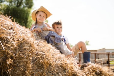 İki küçük çocuk erkek kardeş ve bir kız kardeş yazın bir çiftlikteki samanlıkta dinleniyorlar. Yavaş yaşam. Pastoral hayat. Küçük şeylerden zevk al..
