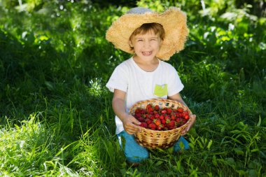 Mutlu sevimli küçük çocuk yazın elinde çilek sepetiyle çimlerin üzerinde oturur. Mutlu küçük çocuk dışarıda eğleniyor..