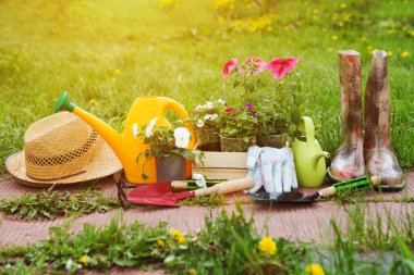 watering can and garden tools  in a garden. an hanging up laundry outdoors.  Spring Awakening. cottagecore. slow life. pastoral life.  enjoy the little things. 