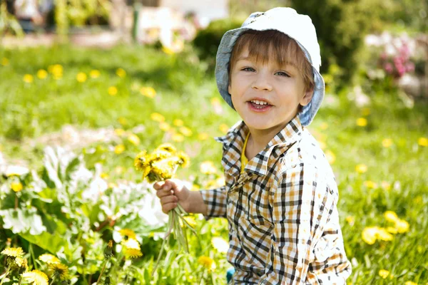 Cute Little Boy Yellow Dandelions Summer Outdoors —  Fotos de Stock