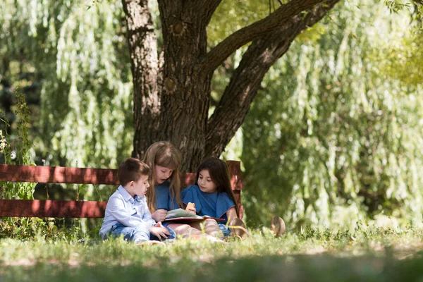 Niños Felices Leyendo Libro Descansando Jardín Verano Día Soleado — Foto de Stock