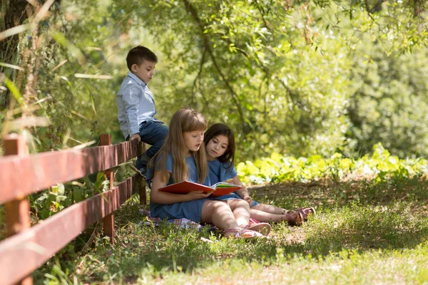 Niños Felices Leyendo Libro Descansando Jardín Verano Día Soleado — Foto de Stock