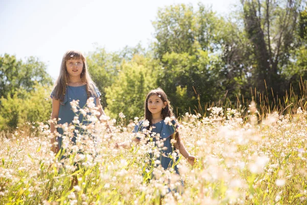 Vista Trasera Hermanas Felices Cogidas Mano Caminando Prado Verano Día —  Fotos de Stock